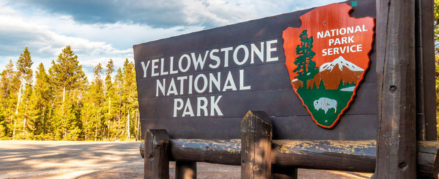 Yellowstone, A Bear & My First Born…